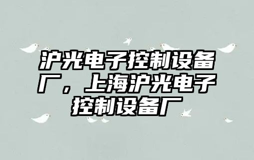 滬光電子控制設(shè)備廠，上海滬光電子控制設(shè)備廠