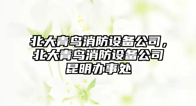 北大青鳥消防設(shè)備公司，北大青鳥消防設(shè)備公司昆明辦事處