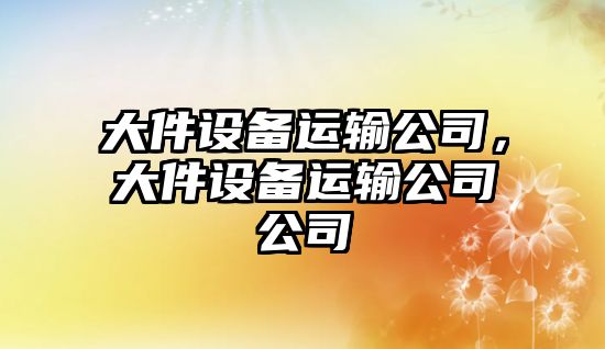 大件設備運輸公司，大件設備運輸公司公司