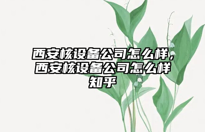 西安核設備公司怎么樣，西安核設備公司怎么樣知乎