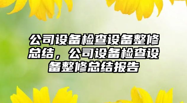 公司設(shè)備檢查設(shè)備整修總結(jié)，公司設(shè)備檢查設(shè)備整修總結(jié)報告