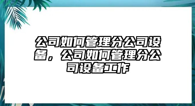 公司如何管理分公司設(shè)備，公司如何管理分公司設(shè)備工作