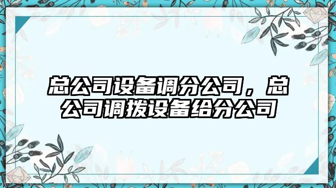 總公司設(shè)備調(diào)分公司，總公司調(diào)撥設(shè)備給分公司