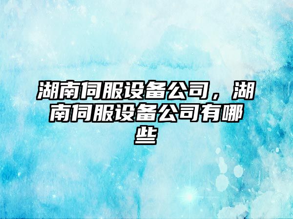 湖南伺服設(shè)備公司，湖南伺服設(shè)備公司有哪些