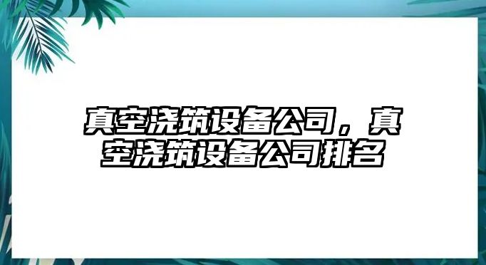 真空澆筑設(shè)備公司，真空澆筑設(shè)備公司排名