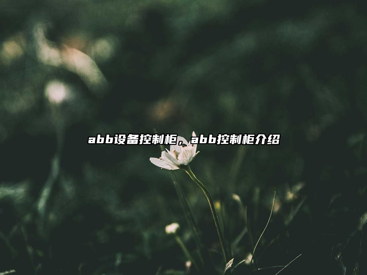 abb設(shè)備控制柜，abb控制柜介紹